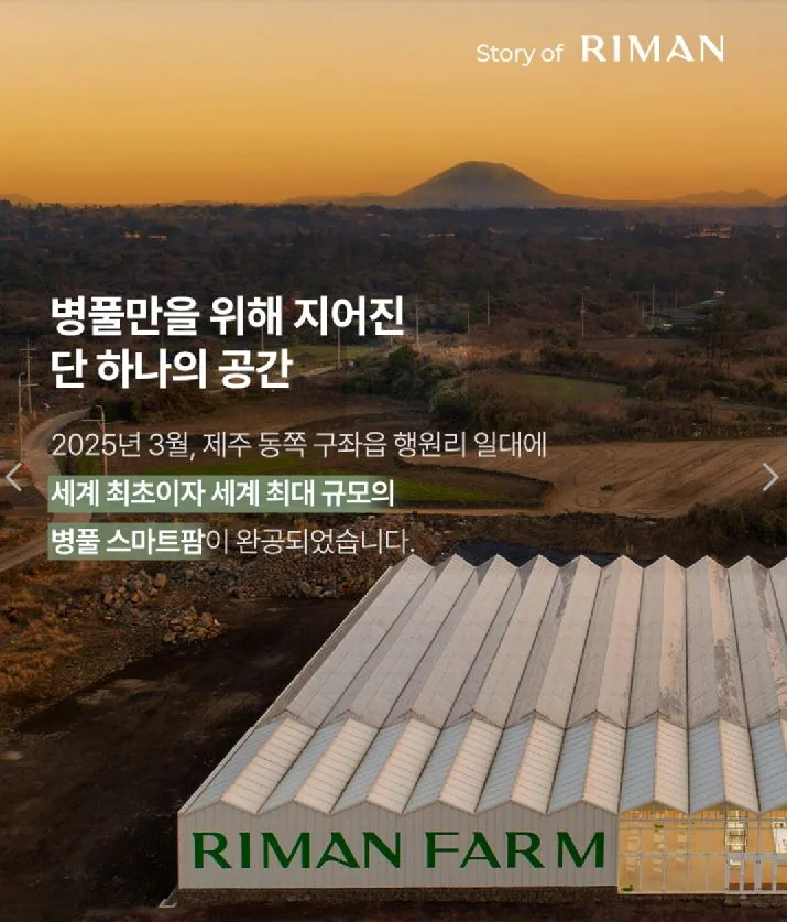 A large greenhouse labelled RIMAN FARM in Jeju countryside at dusk, a volcanic cone on the horizon